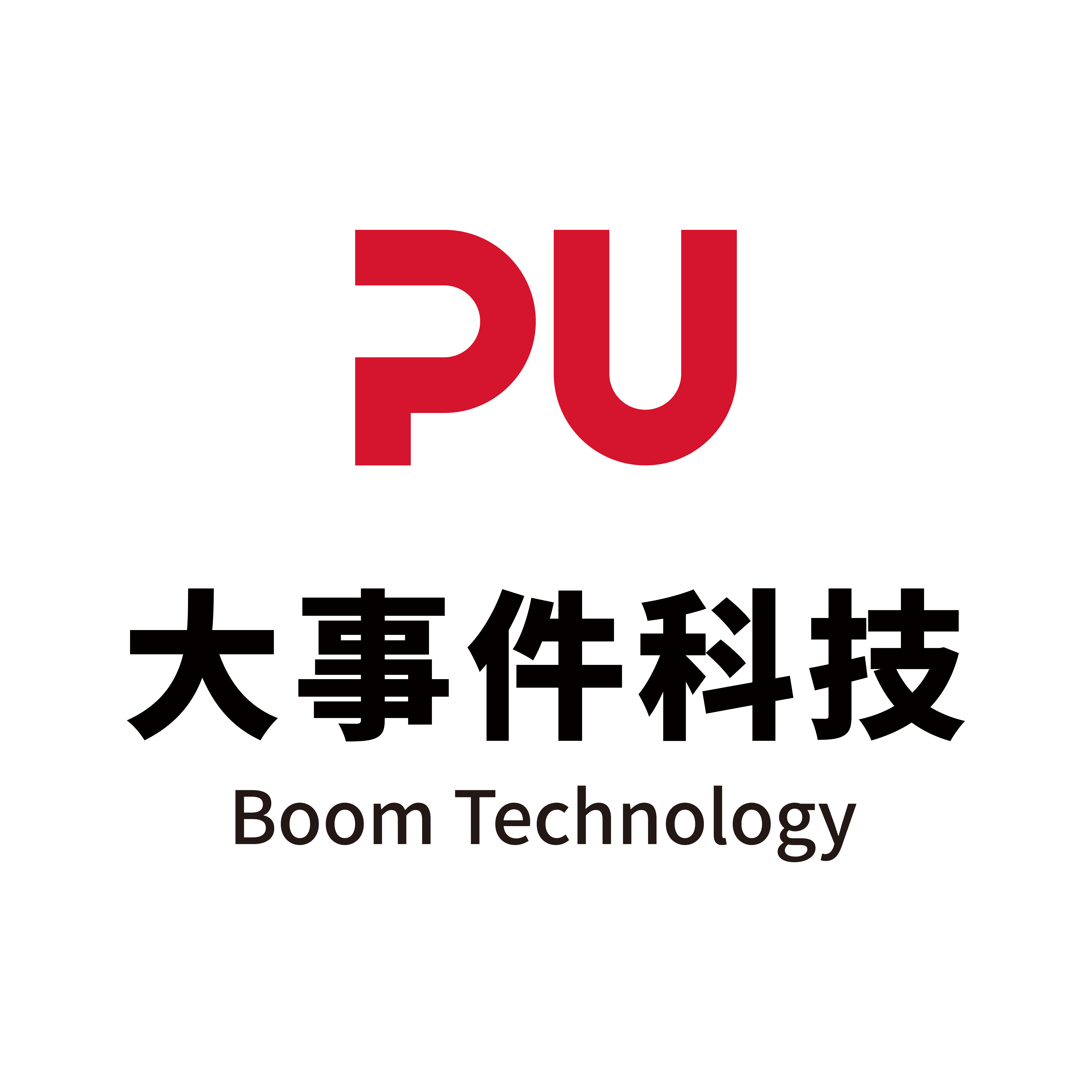 BOOM TECHNOLOGY GROUP